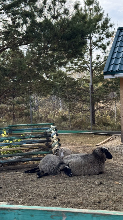 Изображение 4