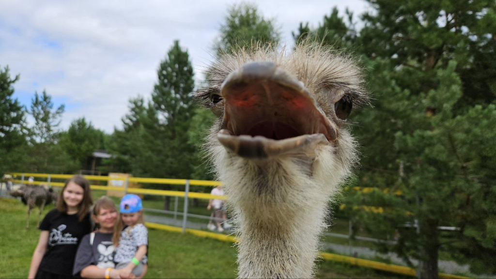 Изображение 0