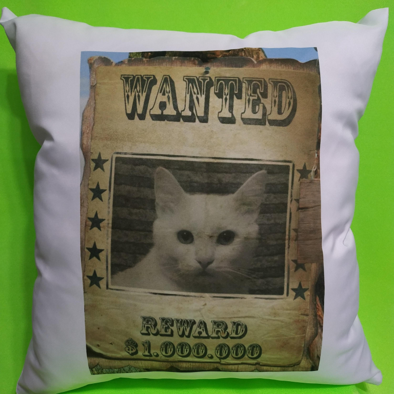 Изображение 0