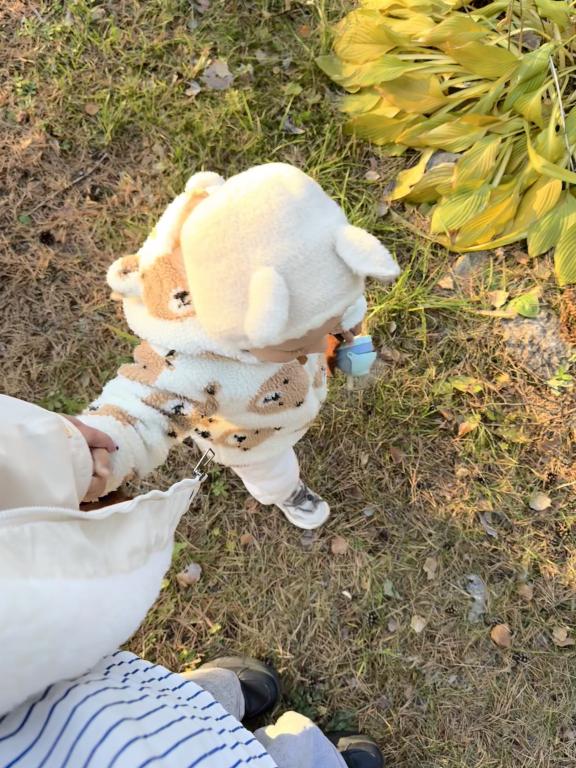 Изображение 0