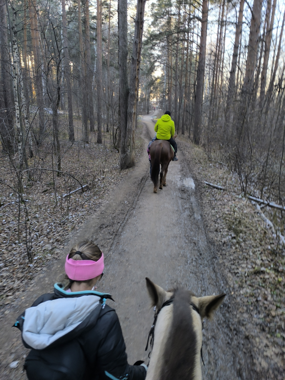 Изображение 0