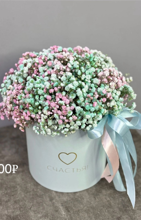 Изображение 0