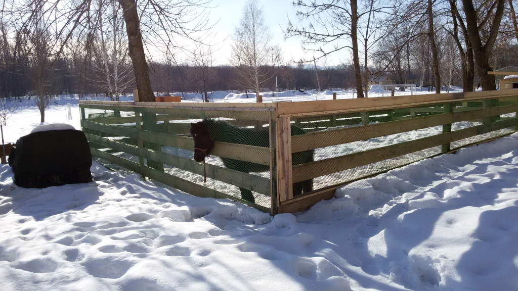 Изображение 5