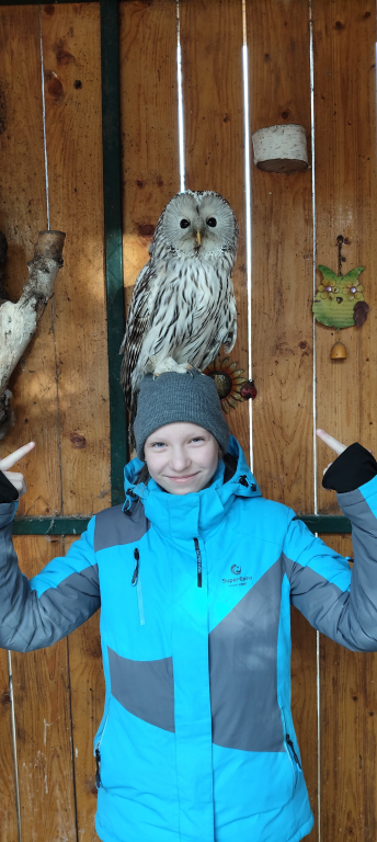 Изображение 0