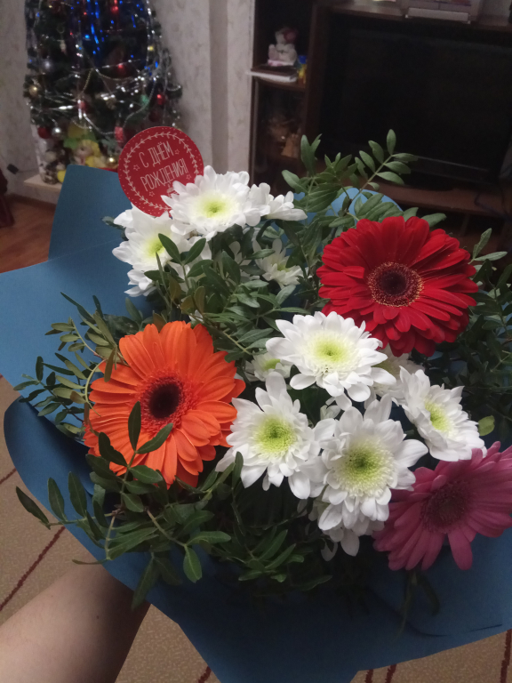 Изображение 0