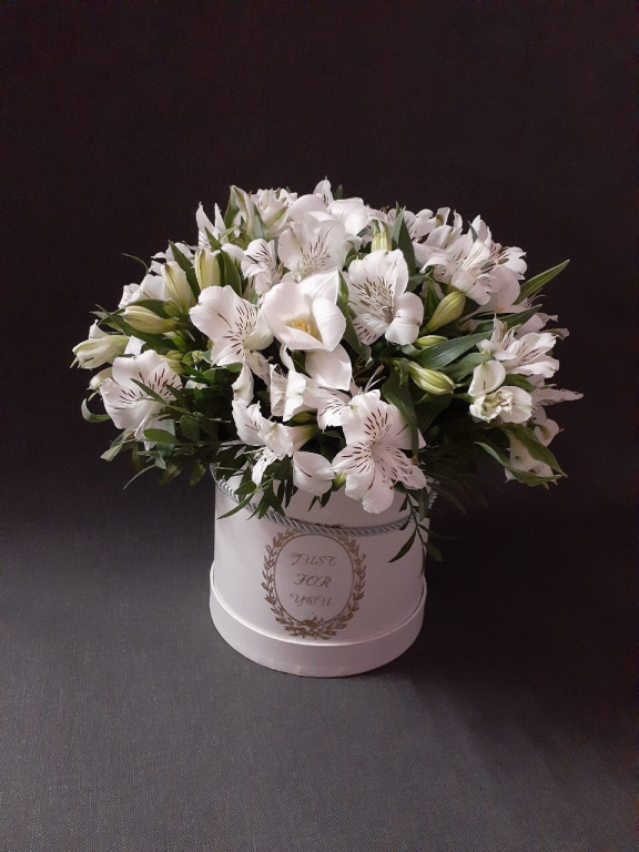 Изображение 0